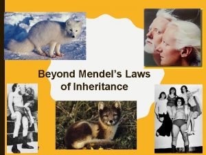 Beyond Mendels Laws of Inheritance 2006 2007 EXTENDING
