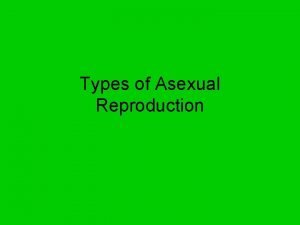 Asexual reproduction involves *