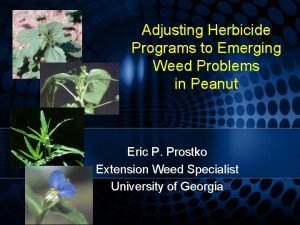 Adjusting Herbicide Programs to Emerging Weed Problems in