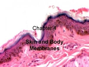 Chapter 4 Skin and Body Membranes BODY MEMBRANES