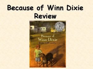 How was the main problem solved in because of winn-dixie