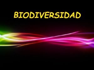 BIODIVERSIDAD Page 1 BIODIVERSIDAD Se refiere al nmero