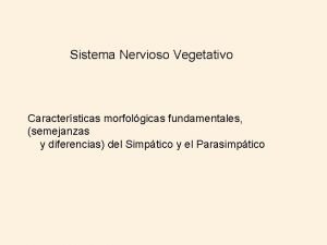 Simpático y parasimpático diferencias