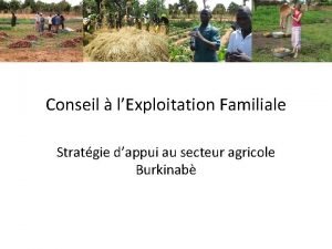 Conseil lExploitation Familiale Stratgie dappui au secteur agricole