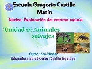 Escuela Gregorio Castillo Marn Ncleo Exploracin del entorno