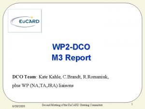 WP 2 DCO M 3 Report DCO Team