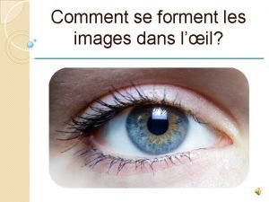 Comment se forment les images dans lil De