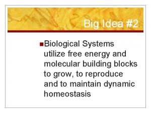 Big Idea 2 n Biological Systems utilize free