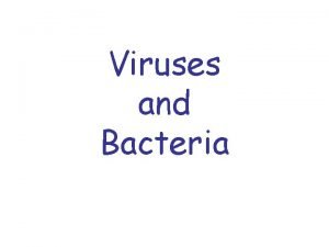 Viruses and Bacteria Viruses A virus is a