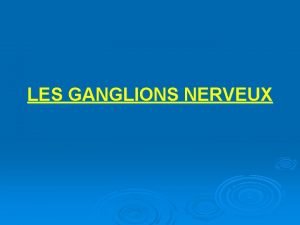Ganglions nerveux Ganglions nerveux