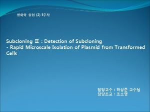 2 5 Subcloning Detection of Subcloning Rapid Microscale