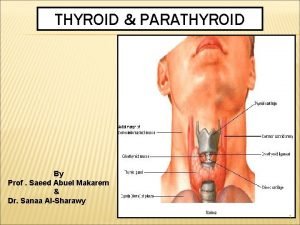 THYROID PARATHYROID By Prof Saeed Abuel Makarem Dr