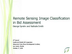 Remote Sensing Image Classification in Bid Assessment George