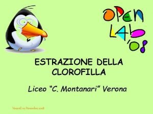 ESTRAZIONE DELLA CLOROFILLA Liceo C Montanari Verona Venerd