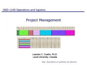 GSO1100 Operations and logistics Project Management Leandro C