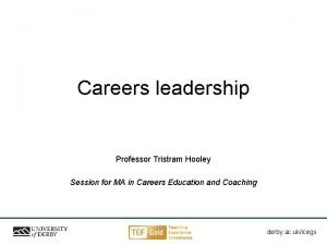 Careers leadership Professor Tristram Hooley Session for MA