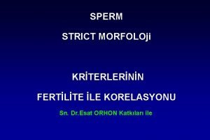 Sperm morfoloji