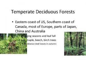Characteristics of temperate deciduous forest
