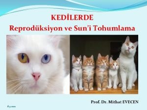 KEDLERDE Reprodksiyon ve Suni Tohumlama Prof Dr Mithat