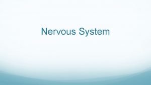 Nervous system vocabulary