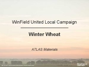 Wheat seeds atlas