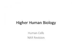 Higher Human Biology Human Cells NAR Revision Key