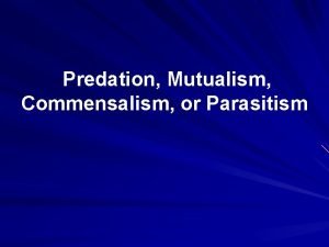 Predation Mutualism Commensalism or Parasitism Commensalism is a