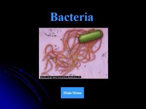 Bacteria Main Menu Main Menu Title Page Classification