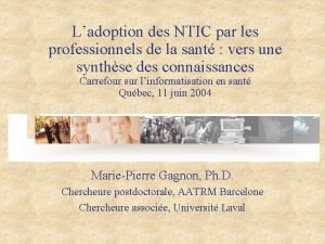 Ladoption des NTIC par les professionnels de la