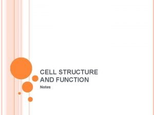 CELL STRUCTURE AND FUNCTION Notes ANIMAL CELLS Eukaryotic