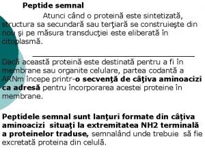 Peptide semnal Atunci cnd o protein este sintetizat