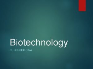 Biotechnology CHEEK CELL DNA What is biotechnology Bio