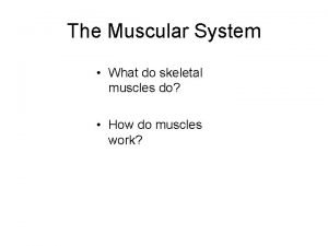 Skeletal and muscular system