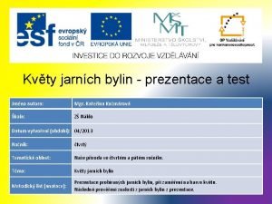 Kvty jarnch bylin prezentace a test Jmno autora