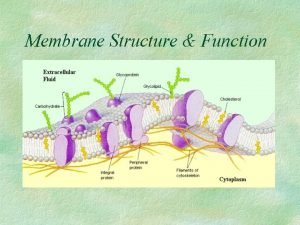Functions of membrane proteins