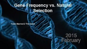 Gene Frequency vs Natural Selection Team Married 2