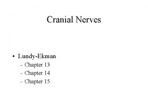 Ipsilateral cranial nerves