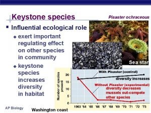 Keystone species Pisaster ochraceous Influential ecological role exert