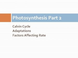 Where does the calvin cycle take place