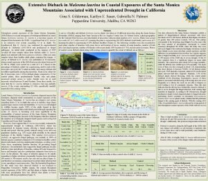 Extensive Dieback in Malosma laurina in Coastal Exposures