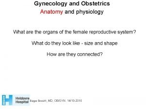 Gynecology and Obstetrics Anatomy and physiology What are