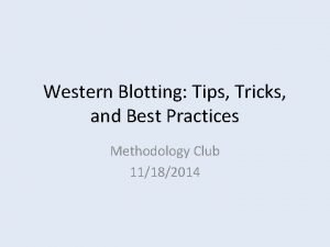 Western Blotting Tips Tricks and Best Practices Methodology