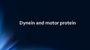 Dynein and motor protein Dynein protein v Dynein