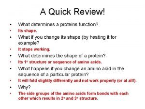 Cheek cell