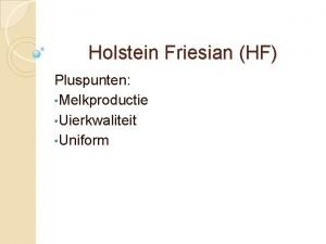 Holstein Friesian HF Pluspunten Melkproductie Uierkwaliteit Uniform Holstein
