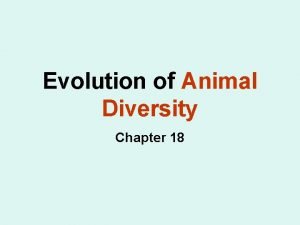 Animal diversity chapter
