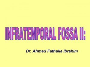Pterygopalatine fossa communications