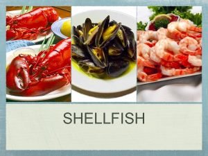 What are the classification of shellfish