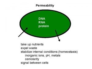 Permeability DNA RNA protein take up nutrients expel