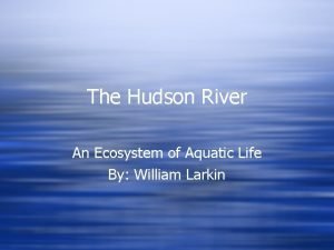 Hudson river